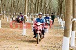 Công ty TNHH một thành viên Cao su Chư Pah:Chăm lo đời sống người lao động